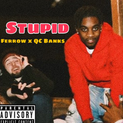 Ferrow x QC Banks - STUPID