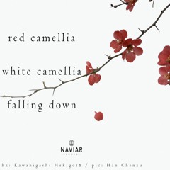 Camellia Falling [NaviarHaiku410]