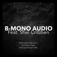The Steps It Takes. B-Mono Audio. Feat Shel Cribben.
