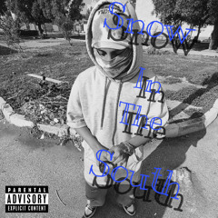 Snow In The South - Youngblood