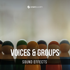 Voices & Groups - Demo