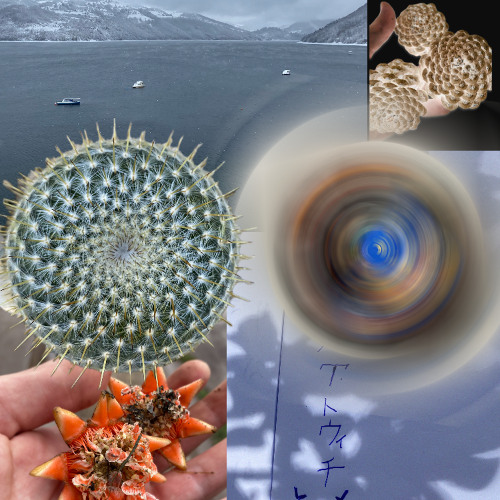 The Elements