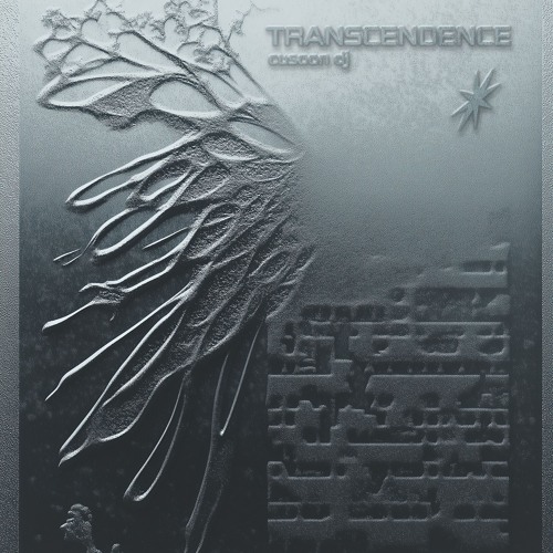 Transcendence with cusoon dj aka Andriy K. 27.02.25