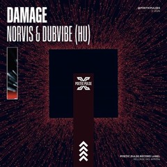 Norvis, DubVibe - Damage (Original Mix)