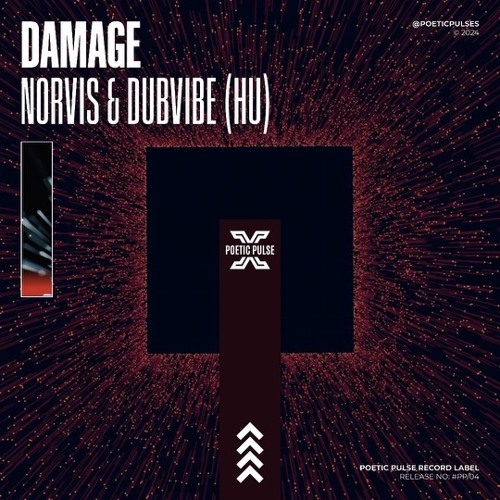 Norvis, DubVibe - Damage (Original Mix)