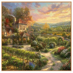Vineyard