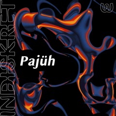 Pajüh | INDISKRET @ Watergate Berlin | 14.03.2024