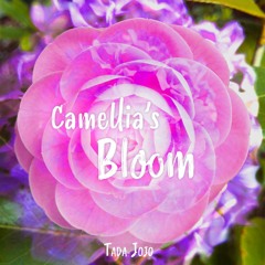 Camellia's Bloom