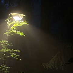 23:40