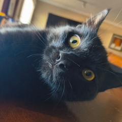 Polyrhythmic Techno Set | Deep & Dirty | Hypnotic Techno 012