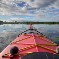 Dawn at Sörsjön