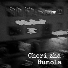 shittyBumola(Hollow)