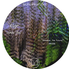 Premiere: Clgr - Jumpy Day [WNG011]