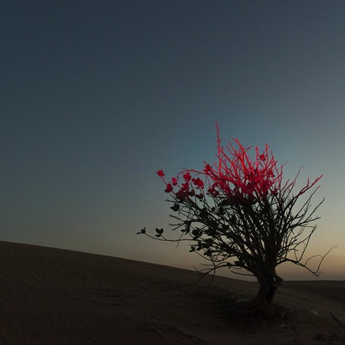 Ahmet Simsek & Bahadir Narin - Existence