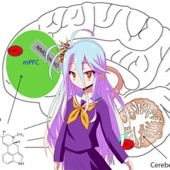 色即是空