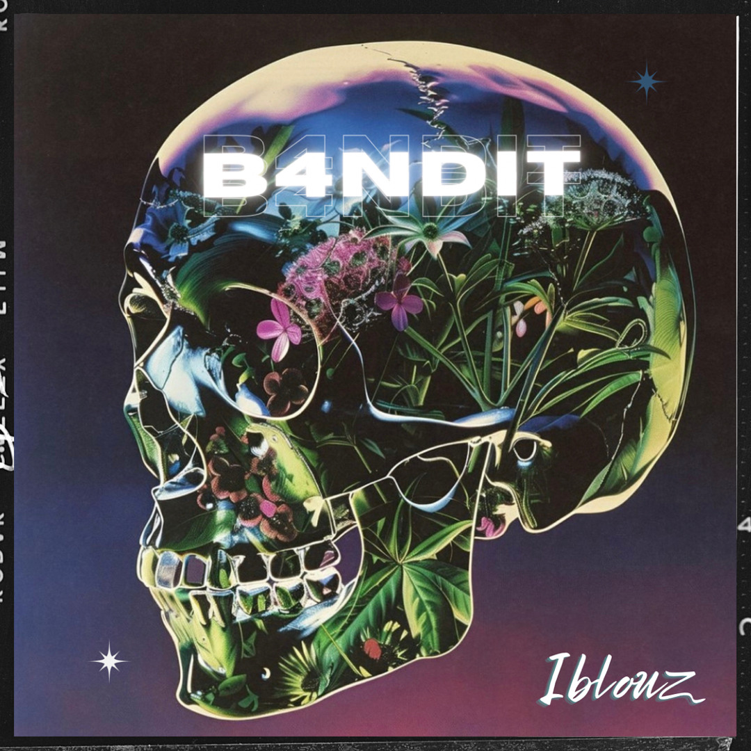 B4NDIT