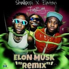 Shallipopi & FireBoy DML & Zlatan- (ELON MUSK REMIX)