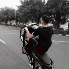 Gió nổi lên rồi Remix (Tik Tok ) x Cây có hoa nhưng không giữ nổi hoa