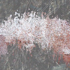 Plume (Live)