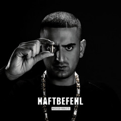 ich rolle mit meinen besten - Haftbefehl [D3VT3KK RMX]