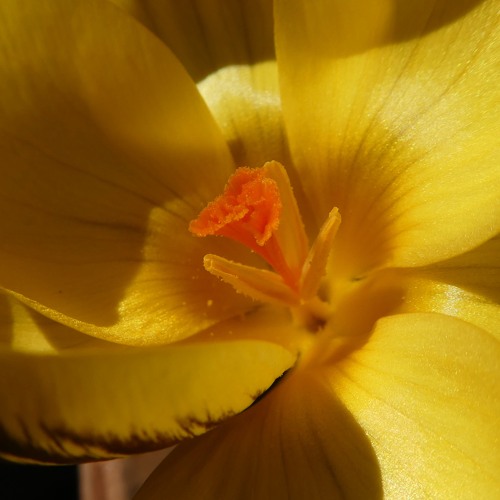 Mendelssohn Songs Without Words Op19.4 VI