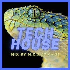 Tech House 19.04.21