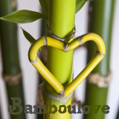 Bamboulove