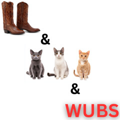 LIMit b2b Zetta present: Boots & Cats & Wubs