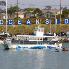 Review Special Price Shared Two-Hour Whale Watching Tour From Oceanside