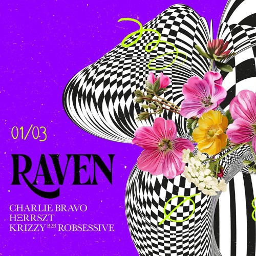 Charlie Bravo @ Smolna: Raven