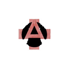 poster boy - 2hollis (anxarchy flip)