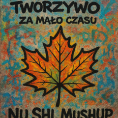 Fisz Emade Tworzywo - Za mało czasu Nu ShL MashUp