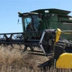 Direct heading canola: how to get it right.