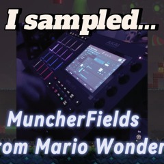 MaxxMarvel - MuncherFields (Mario Wonder sampled beat)