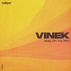 VINEK - Stay (In My Life)