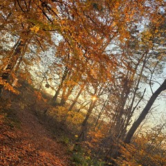 Edwin Rosen - Vertigo | Techno