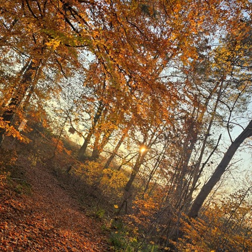 Edwin Rosen - Vertigo | Techno