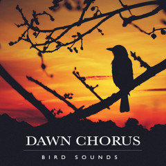 The Great Lake of Birds