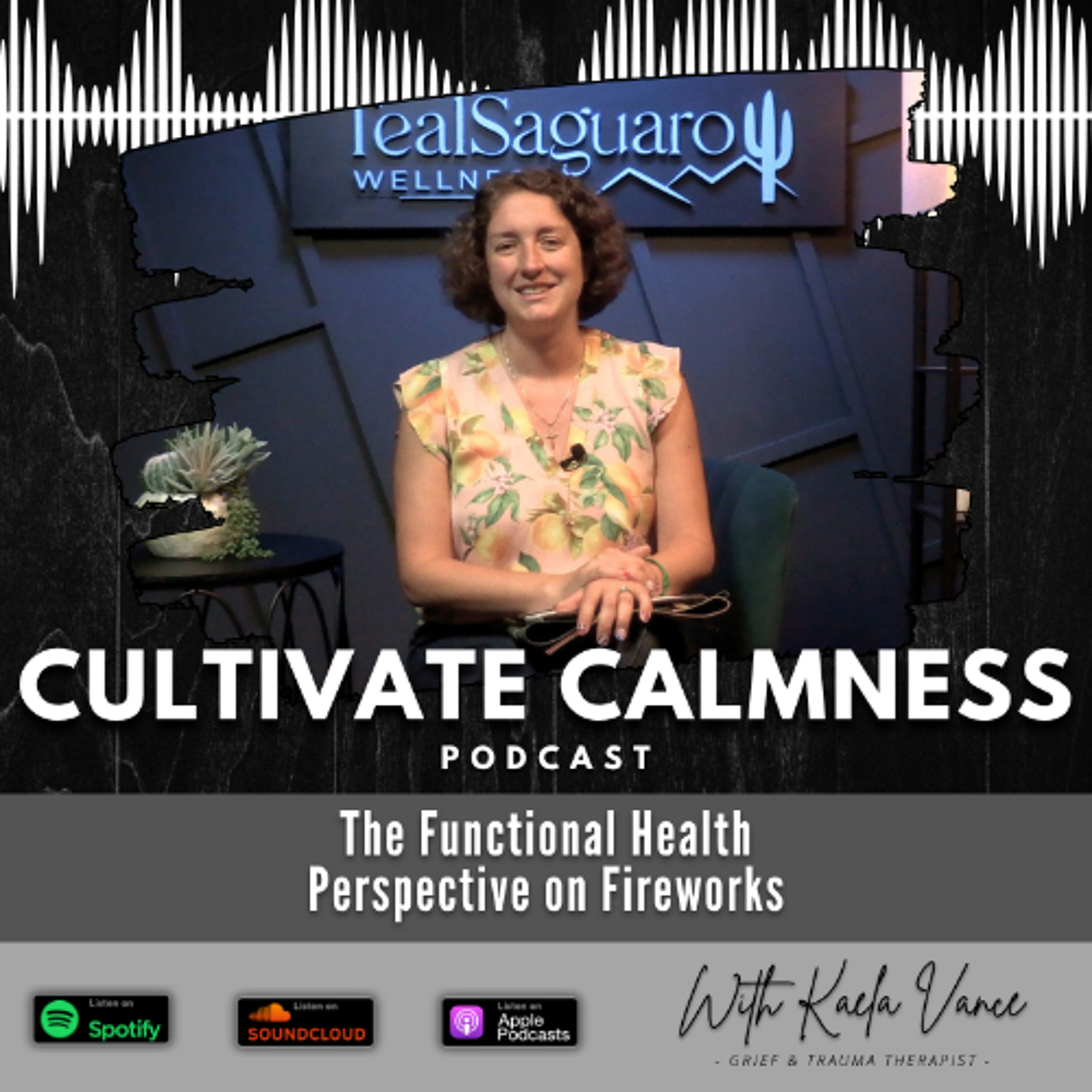 Episode #142 - The Functional Health Perspective on Fireworks episode artwork