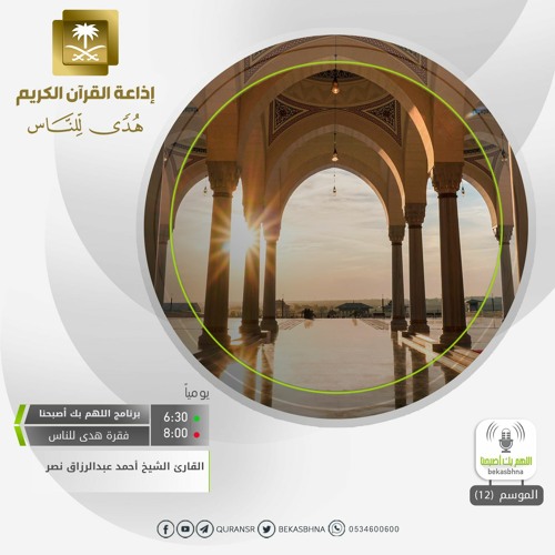 القارئ أحمد عبدالرزاق نصر - وربك يخلق ما يشاء ويختار