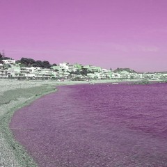 Sogni Viola