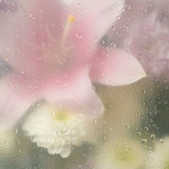 ムダな君 - sodikken