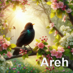 Spring awakening