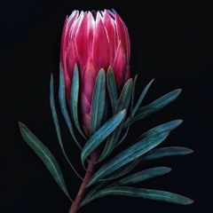 Under the bridge-feat (Artem zinkevuch piano&Nata zinkevuch drum)