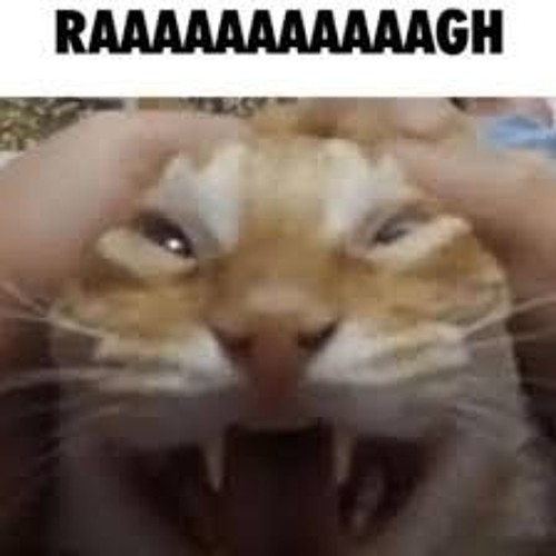 RAHHHHHHHHHHH