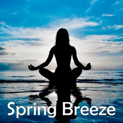 Spring Breeze Of Meditation