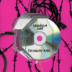 SEQUÊNCIA CUNT - TECHGOTH REMIX