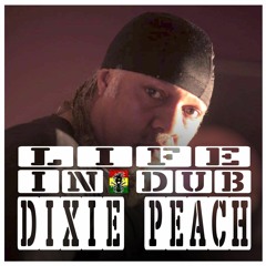 LIFE IN DUB PODCAST #29 DIXIE PEACH hosted by Steve Vibronics