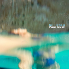 Feel It In The Air (Passion Vocal Mix) *FREE DL*
