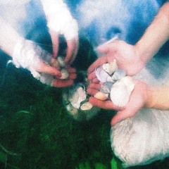 lago (Reversión 2024)